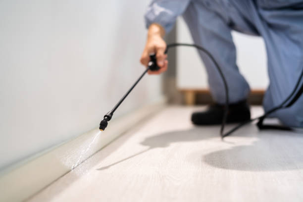 Licensed Termite Control service in Okfuskee County County, OK - Nex Pest Control