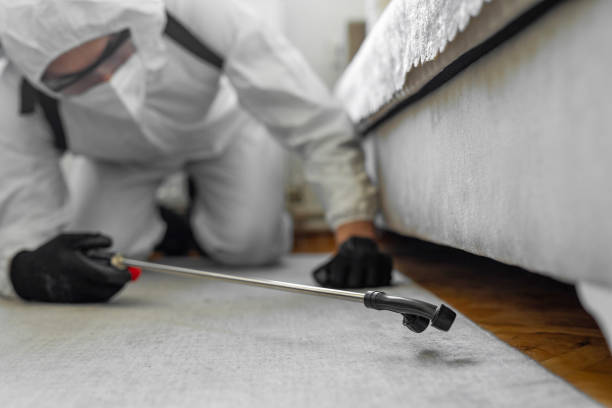 Professional Termite Control technician working in Okfuskee County County, OK